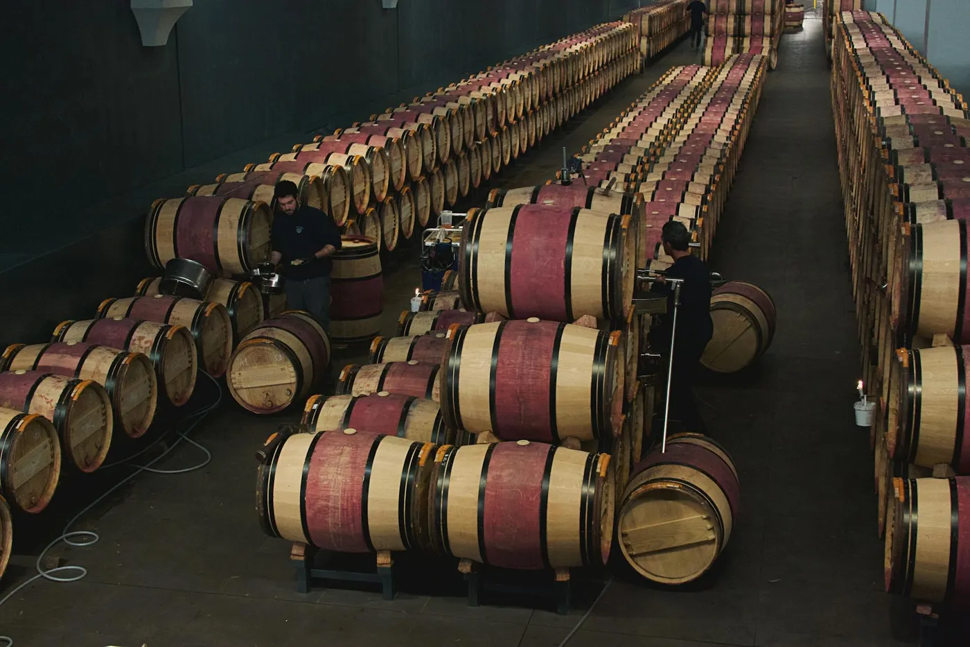Plantaže wineries and the Šipčanik cellar